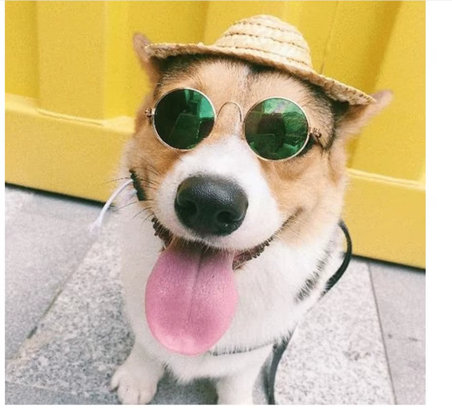 Pet Cat Glasses Fashion Cute Eye-Wear Sunglasses for Cats Dog Accessories for Little Pets Photos Prop Pet Products, 1 Piece