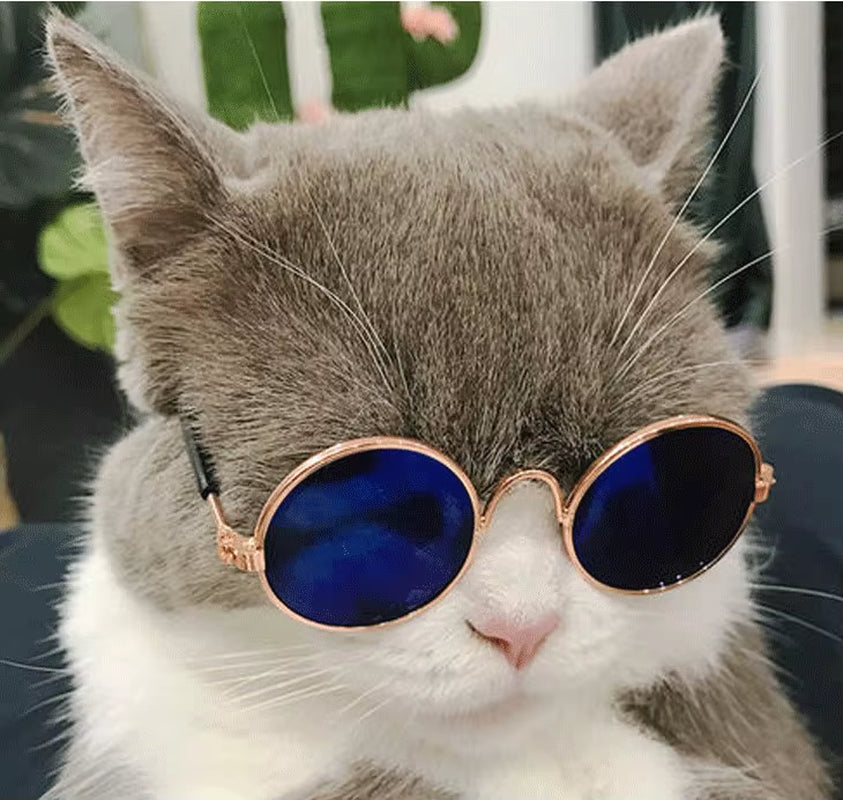 Pet Cat Glasses Fashion Cute Eye-Wear Sunglasses for Cats Dog Accessories for Little Pets Photos Prop Pet Products, 1 Piece