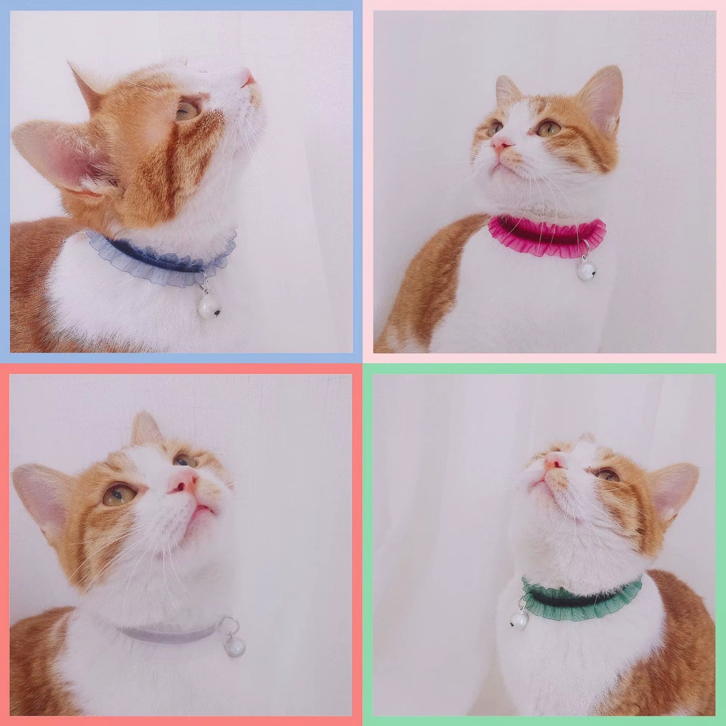 Elasticity Velvet Lace Pets Cat Collar with Bell Chihuahua Rabbit Necklace Bowtie Puppy Dogs Bells Collars Cats Accessories