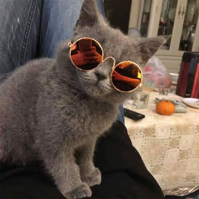 Pet Cat Glasses Fashion Cute Eye-Wear Sunglasses for Cats Dog Accessories for Little Pets Photos Prop Pet Products, 1 Piece