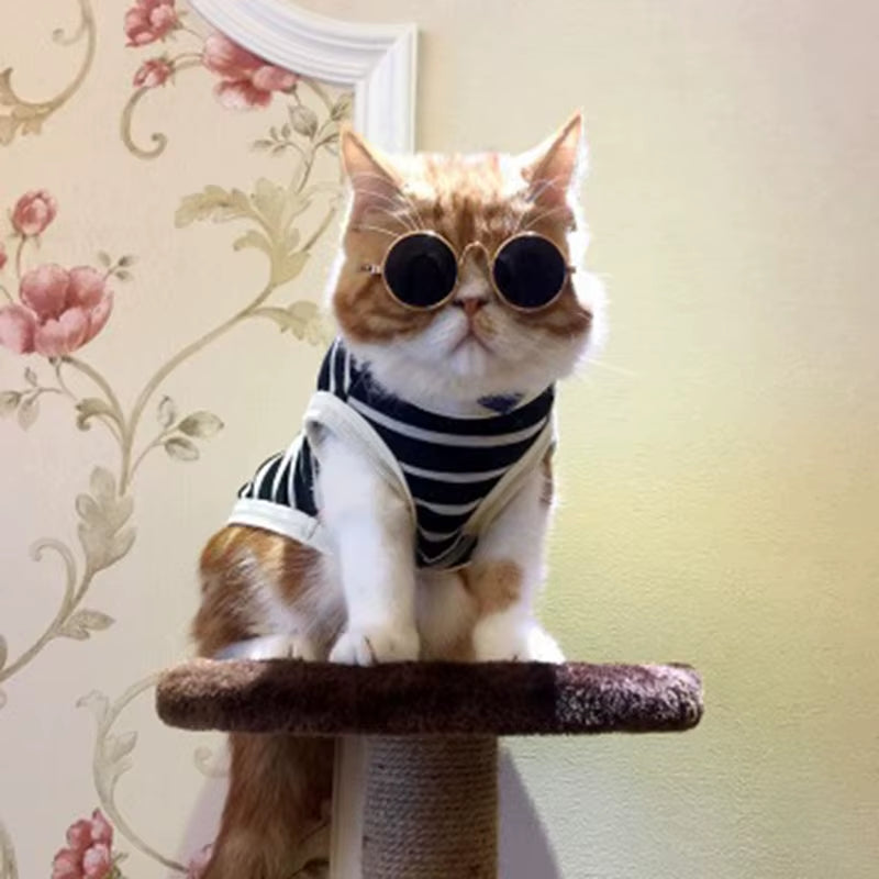 1Pc Lovely Pet Cat Glasses Small Dog Glasses Pet Products for Little Dog Cat Eye-Wear Dog Sunglasses Photos Pet Accessories