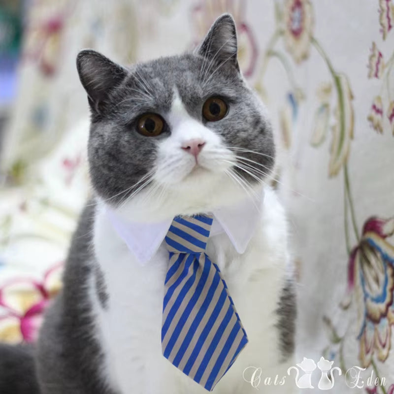 [MPK Store] Cat Toy Cat Costume Clip Tie for Cats and Dogs, Cat Collar