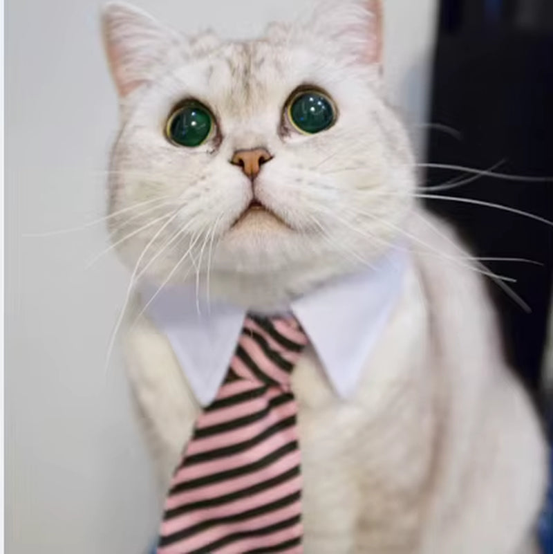 [MPK Store] Cat Toy Cat Costume Clip Tie for Cats and Dogs, Cat Collar