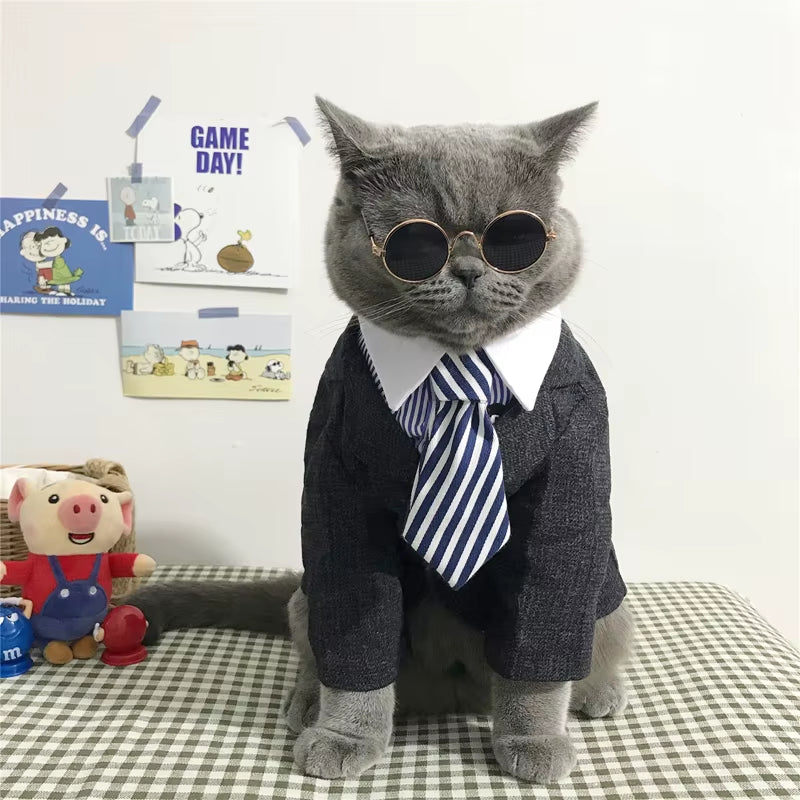 [MPK Store] Cat Toy Cat Costume Clip Tie for Cats and Dogs, Cat Collar