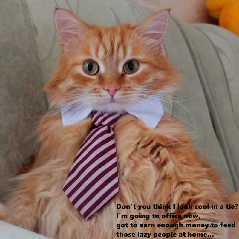 [MPK Store] Cat Toy Cat Costume Clip Tie for Cats and Dogs, Cat Collar