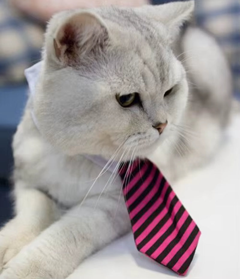 [MPK Store] Cat Toy Cat Costume Clip Tie for Cats and Dogs, Cat Collar